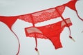 Lacy red lingerie. Stylish set of sexy underwear - panties and garter belt for stockings on a white background Royalty Free Stock Photo