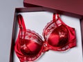 A Lacy Satin Full Cup Bra in a Gift Box Royalty Free Stock Photo