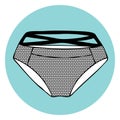 Lacy vector panty. Royalty Free Stock Photo