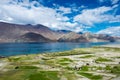 Pangong Lake view from Merak Village in Ladakh, Jammu and Kashmir, India. The Lake is an endorheic