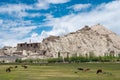 Shey Monastery Shey Palace in Ladakh, Jammu and Kashmir, India