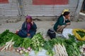 Ladakhi ladies selling fruit and vegetables