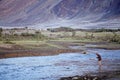 Fisherman in Nubra Valley, Ladakh, India