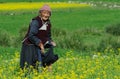 Ladakhi woman harvesting