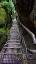 Ladder ascent through narrow damp mossy rock passage, Saxony, Germany