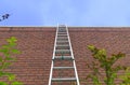 Ladder red brick wall freedom concept aspirations goals motivation success business opportunity blue sky Royalty Free Stock Photo