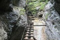 Ladder in Canyon Piecky in SlovenskÃÂ½ raj Slovak Paradise National Park Royalty Free Stock Photo