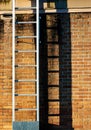 Ladder casting shadow on a worn old stained brick wall Royalty Free Stock Photo