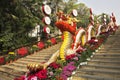 The ladder in the Chinese park - a red dragon and bright flowers