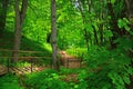 Ladder down to Ruza river in Ruza city, Moscow region, Russia