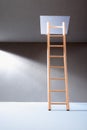 Ladder In Hatch Royalty Free Stock Photo