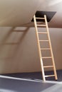 Ladder In Hatch Royalty Free Stock Photo