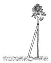 Ladder Leaning Against a Tree vintage illustration