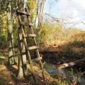 The ladder is leaning against the tree in a wooded area near the farm.