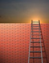 Ladder leans on wall Royalty Free Stock Photo