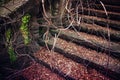 Ladder in the old building