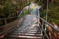 Ladder in park with metal handrails. Wooden steps going down