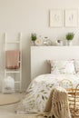 Ladder with pink blanket next to bed in feminine bedroom interior with lavender flowers and posters. Real photo Royalty Free Stock Photo