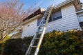 ladder positioned against house for gutter cleaning