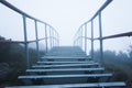 Ladder with stairs in the mystic mountain landscape.