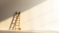a ladder stand on white color plain wall