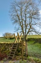 A ladder stile leading in to a field with a tree