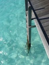 Ladder to maldives sea Royalty Free Stock Photo