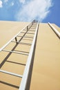 Ladder to sky