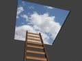 LADDER TO SUCCESS Royalty Free Stock Photo
