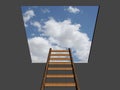 LADDER TO SUCCESS Royalty Free Stock Photo