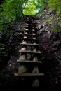 Ladder tourism typical for the Slovak Paradise. Royalty Free Stock Photo