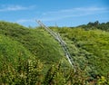 Ladders against an established yew hedge or tree on the edge of large garden Royalty Free Stock Photo