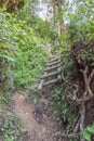 Ladders on Mudslide trail to the top of Ploughmans Kop