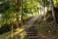 The ladders in Nature Trail