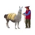 Laden lama with a farmer