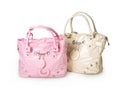 Ladies bag Royalty Free Stock Photo