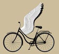 Ladies bike with wings