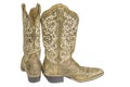 Ladies Brown Western Cowboy Boots Royalty Free Stock Photo