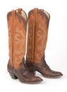 Ladies Cowboy Boots. Royalty Free Stock Photo