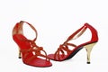 Ladies fancy shoes Royalty Free Stock Photo