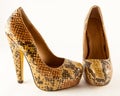 Ladies snake skin fashion shoes Royalty Free Stock Photo