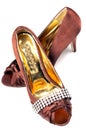 Ladies footwear Royalty Free Stock Photo