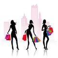 Ladies go shopping Royalty Free Stock Photo