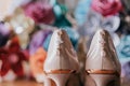 Ladies heel shoes Royalty Free Stock Photo