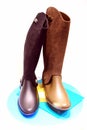 Ladies leather boots Royalty Free Stock Photo