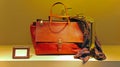 Ladies leather handbag and scarf