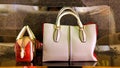 Ladies luxury handbags