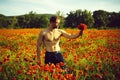 Ladies` man. man with muscular body in field of red poppy seed Royalty Free Stock Photo