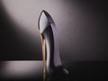Ladies perfume bottle shaped like a shoe. Royalty Free Stock Photo