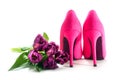 Ladies pink high heel shoes and tulips isolated on white, for lo Royalty Free Stock Photo